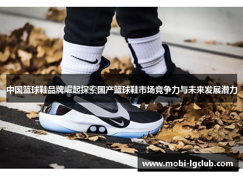 中国篮球鞋品牌崛起探索国产篮球鞋市场竞争力与未来发展潜力