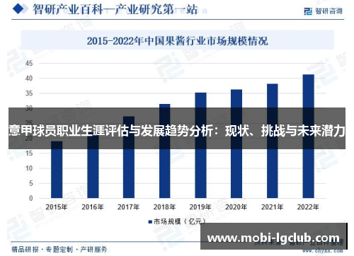 意甲球员职业生涯评估与发展趋势分析：现状、挑战与未来潜力