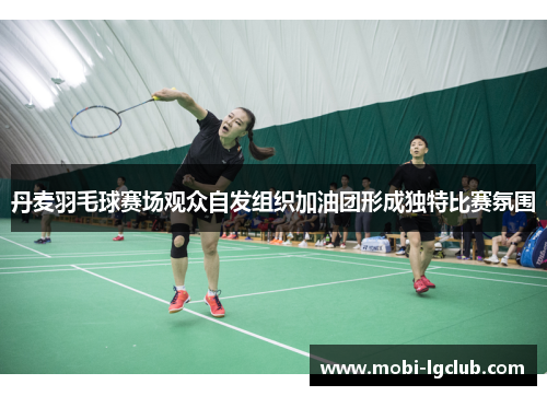 丹麦羽毛球赛场观众自发组织加油团形成独特比赛氛围