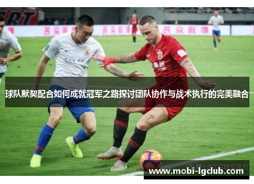 球队默契配合如何成就冠军之路探讨团队协作与战术执行的完美融合