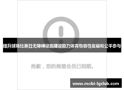 提升球场比赛日无障碍设施建设助力体育包容性发展和公平参与