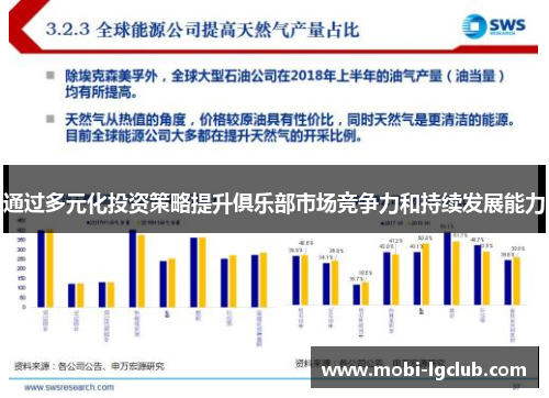 通过多元化投资策略提升俱乐部市场竞争力和持续发展能力
