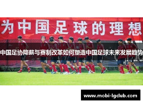 中国足协降薪与赛制改革如何塑造中国足球未来发展趋势