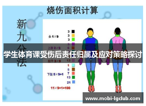 学生体育课受伤后责任归属及应对策略探讨