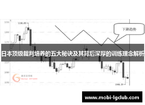 日本顶级裁判培养的五大秘诀及其背后深厚的训练理念解析