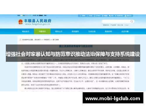 增强社会对家暴认知与防范意识推动法治保障与支持系统建设
