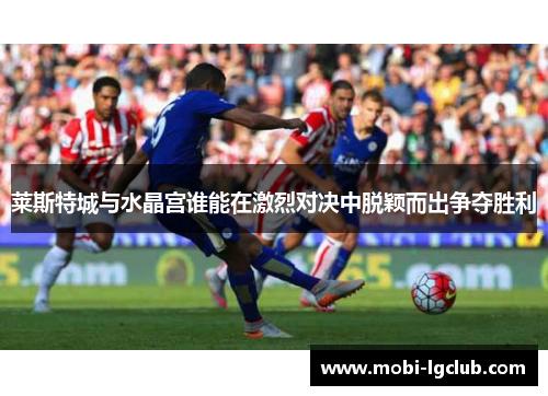 莱斯特城与水晶宫谁能在激烈对决中脱颖而出争夺胜利