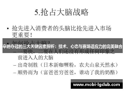 辛纳夺冠的三大关键因素探析：技术、心态与赛场适应力的完美融合
