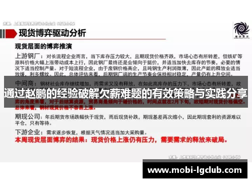 通过赵鹏的经验破解欠薪难题的有效策略与实践分享