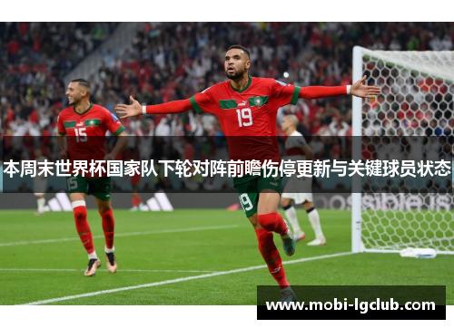 本周末世界杯国家队下轮对阵前瞻伤停更新与关键球员状态