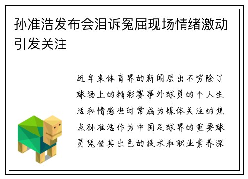 孙准浩发布会泪诉冤屈现场情绪激动引发关注